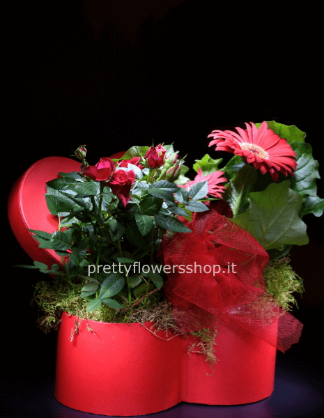 scatola cuore con piantine mix o fiori freschi